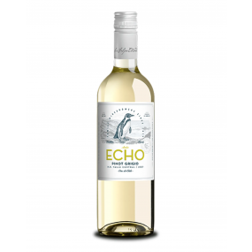 Vinho Chileno Echo Classic Sauvignon Blanc